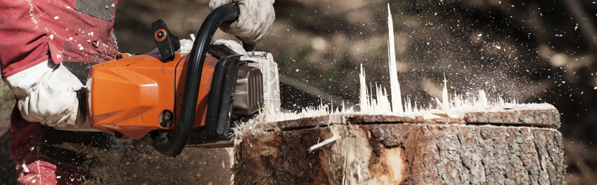 Stump Grinding